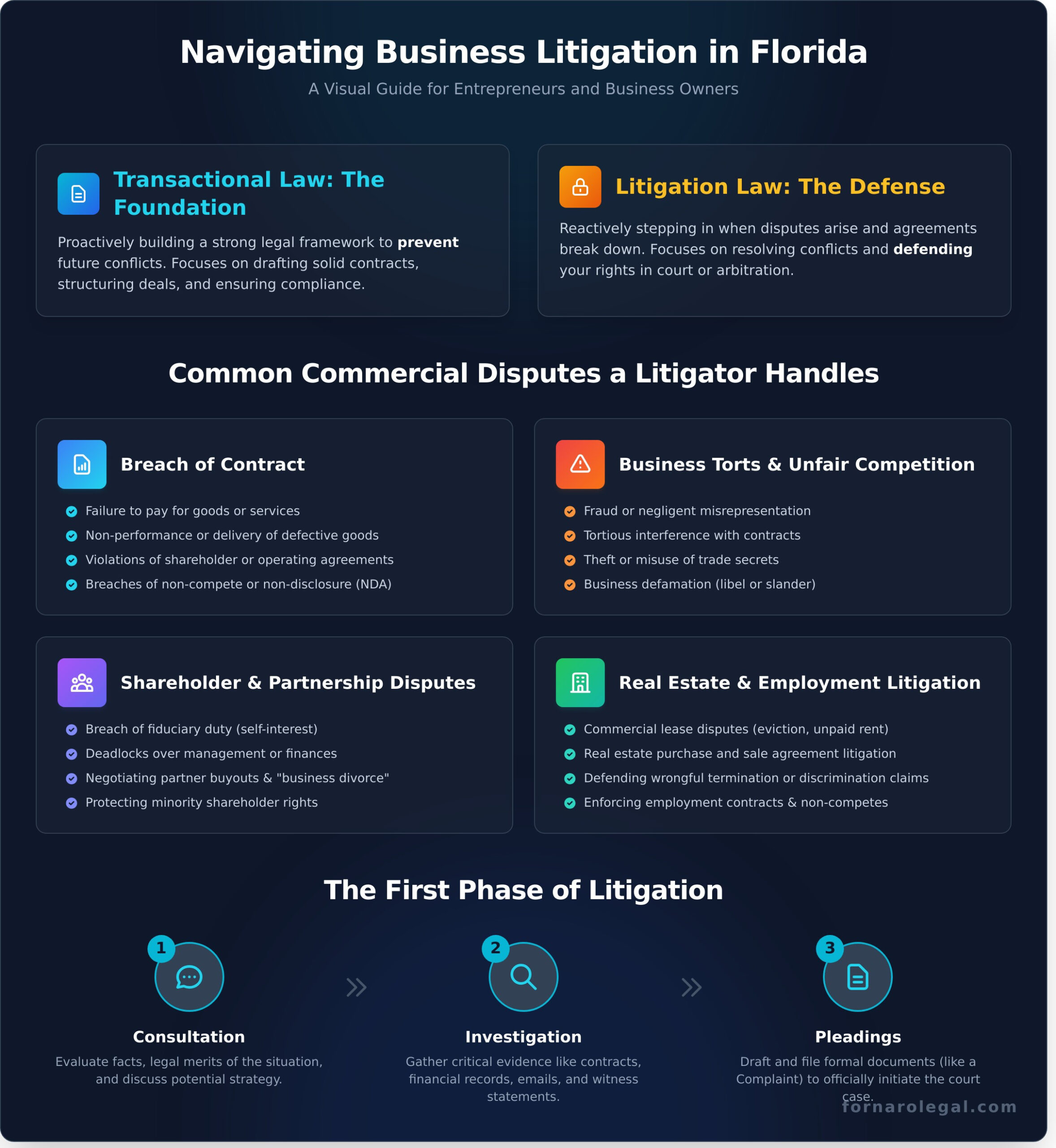 Business Litigation Lawyer: A Guide for Florida Businesses - Infographic